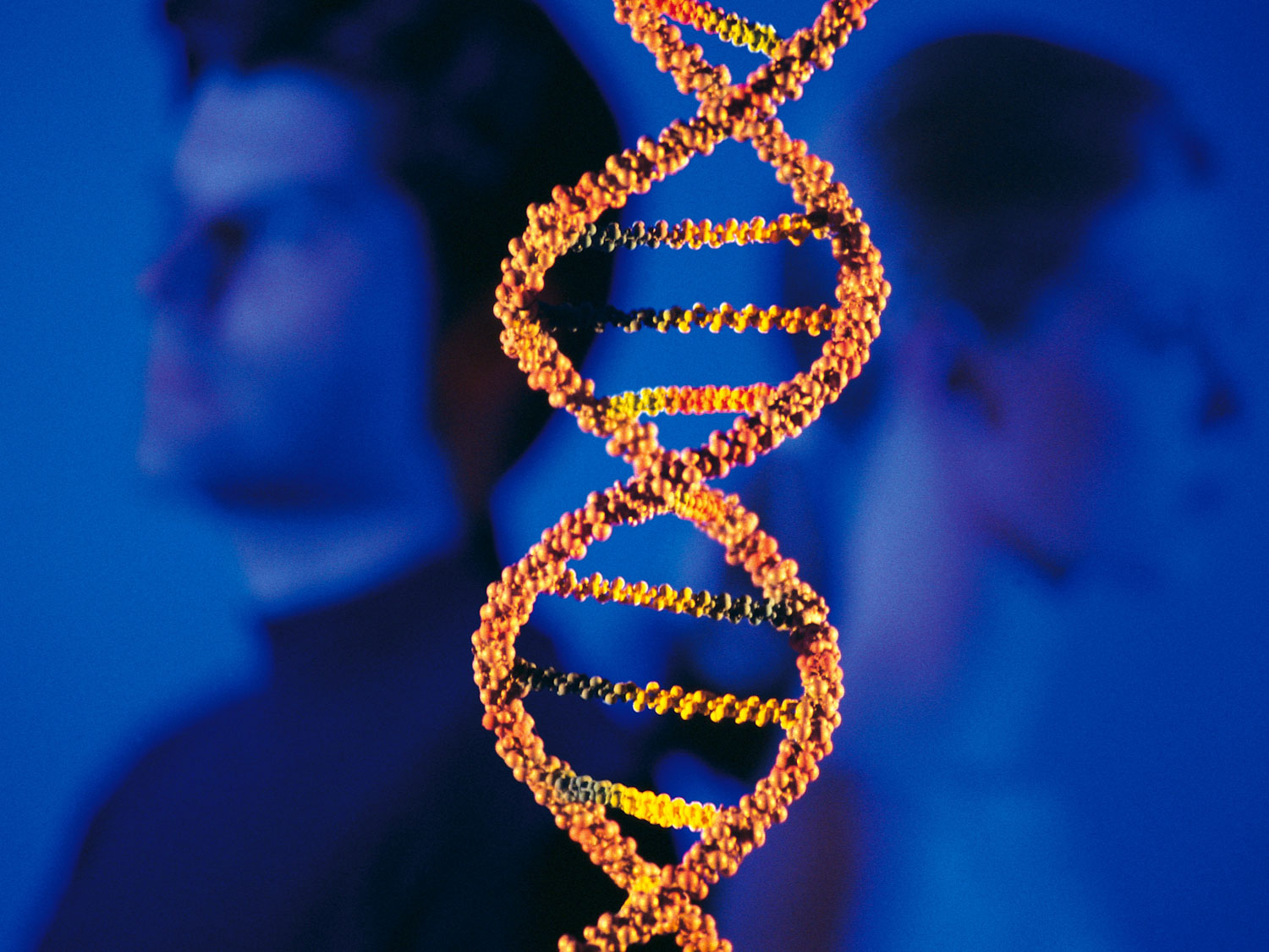 Проект геном человека